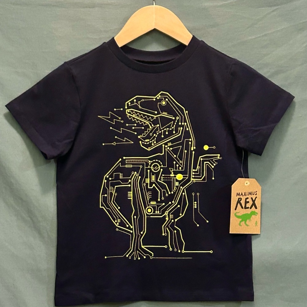 Maximus Rex Boys Robot T-Rex T-Shirt - Size 6
